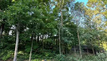 Tree Removal for SEALY TREE and LAWN in Cleveland, TN