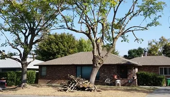 Tree Removal for Lalo's Tree Service in Willows, CA