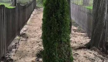 Fall and Spring Clean Up for Mow N Maintain Property Maintenance in Williston, VT