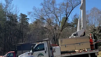 Tree Removal for Gray’s Tree Service Inc in Maurertown, VA