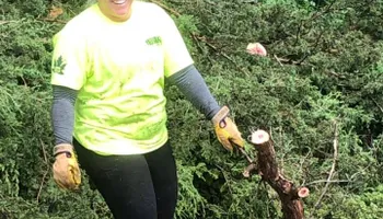Tree Removal for Allstate Tree Service in Fridley, MN