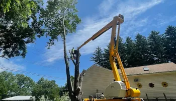 Tree Removal for Mays Tree and Stump Removal in Alden, NY