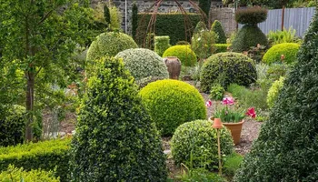 Lawn Maintenance for Boyd Bros in Richmond, VA