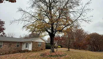 Land Clearing for Mud Creek Vegetation Management in Russellville, AL
