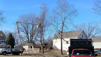 Tree Removal for Gray's Tree Service  in Shenandoah County, VA