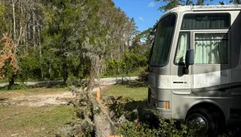 Tree Removal for Ryker's Tree Service in Dunedin, FL