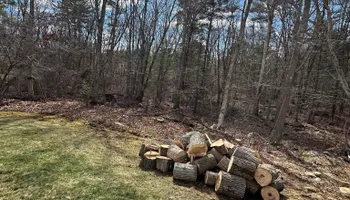 Tree Removal for Silver City Tree and Landscape in Taunton, MA