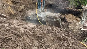 Mowing for Stealth Landscaping in Black Diamond, WA