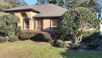 Tree Trimming for Highlife Tree Care And Landscaping in Altamonte Springs, FL