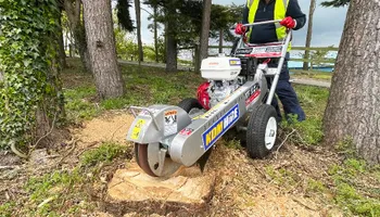 Tree Removal for Big River lawn Care services and snow LLC in Wausau, WI
