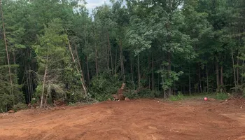Land Clearing for A.P Land Management in Atlanta, Ga