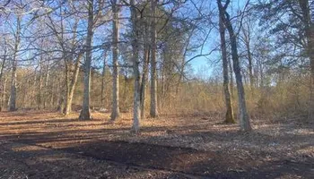 Land Clearing & Demolition for Green Land Management in Mount Pleasant, TN