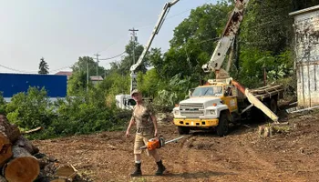 Tree Removal for Lance Tree Service in Tellico Plains ,  TN