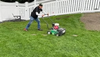 Tree Work for Baboosic Tree & Landscape in Merrimack, NH