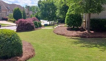Pinestraw for BAM Another Pinestraw Lot in Flowery Branch, GA