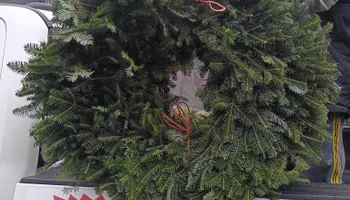 Pinestraw for BAM Another Pinestraw Lot in Flowery Branch, GA