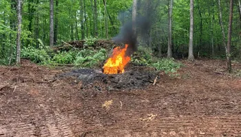 Land Clearing for Gibson Grade Works in Towns County, GA