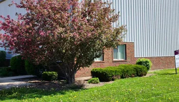 Mowing for Elite Landscaping in Hampshire, IL