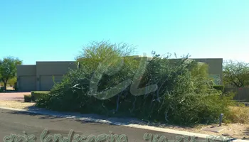 Landscape Installation for CRAJE Landscaping LLC in Mesa, AZ