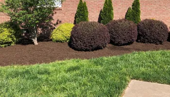 Mowing for Grandview Lawn Care in Norwood, NC