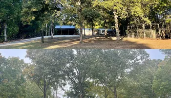 Tree Removal for Ross Family Tree Service LLC  in Hohenwald, TN