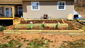 Tree Removal for Platas Tree Service  in Clyde, NC