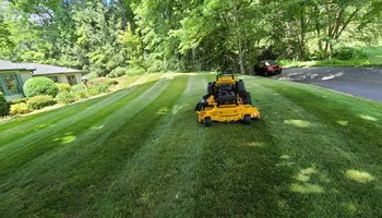 Tree Removal for Platas Tree Service  in Clyde, NC