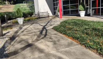 Property Maintenance for Ettere Landscape Services in Flemington, NJ