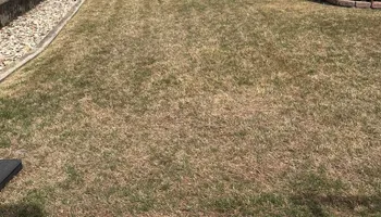 Mowing for M-Owensby Lawn Care in New Braunfels, TX