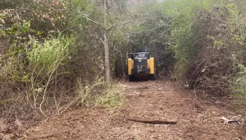 Land Clearing for South Mississippi Land Management LLC in Columbia, Mississippi