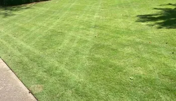 Mowing for Bega Landscape Services in Atlanta, Georgia