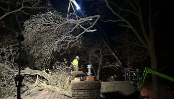 Tree Removal for Down To Earth Tree Service in Red Wing,  Minnesota