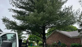 Tree Removal for Greenskeeper Property Management in Elizabethtown, KY