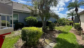 Tree Removal for MX Trees LLC in Englewood, FL