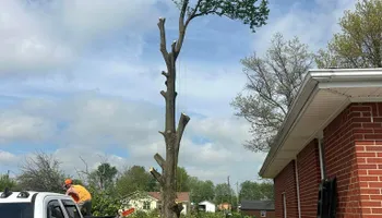 Tree Removal for Greenskeeper Property Management in Elizabethtown, KY