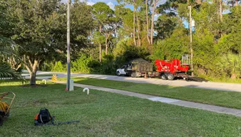 Tree Removal for MX Trees LLC in Englewood, FL