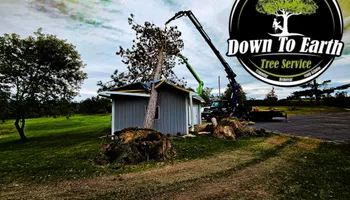 Tree Removal for Down To Earth Tree Service in Red Wing,  Minnesota
