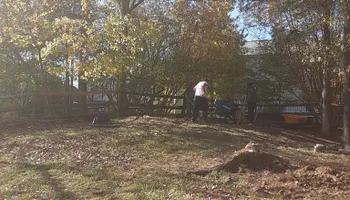 Tree Removal for Oakhurst Landscaping and Tree Service in Charlotte, NC