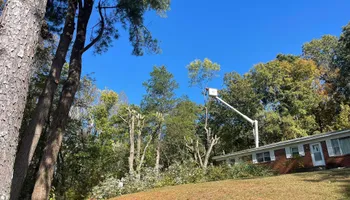 Tree Removal for Ross Family Tree Service LLC  in Hohenwald, TN