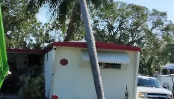 Stump Grinding for Busy Beaver Stump Removal, Inc in Clearwater, FL