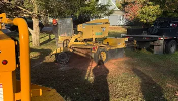Tree Removal for Hingewood Tree Service in Salem, NJ