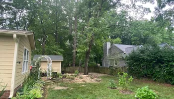 Tree Removal for MTJ Tree Removal LLC in Zebulon, NC