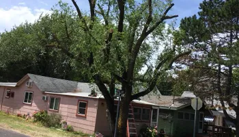 Tree Removal for Jason's Tree Service in Marlton, NJ