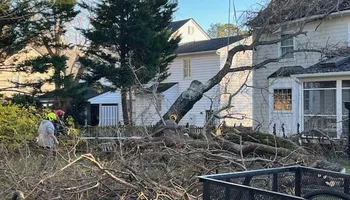Tree Removal for Smith Tree Experts in Palmyra, VA