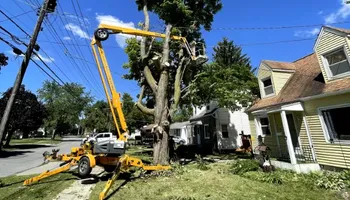 Tree Removal for Huntsville Tree Service in Huntsville, AL
