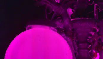 Electrical Repairs for Bohemia Electric in Cottage Grove, OR