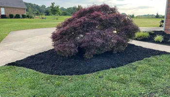 Lawn Maintenance for Palmetto State Landscaping in Gaffney, SC