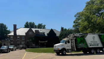 Tree Removal for Dittmer Tree Service in Davenport, IA