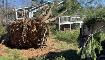 Kitchen Renovation for JDI Customs in Nashville, TN