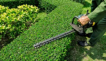 Mowing for Greener Horizons Landscape Management in Port St. Lucie, FL